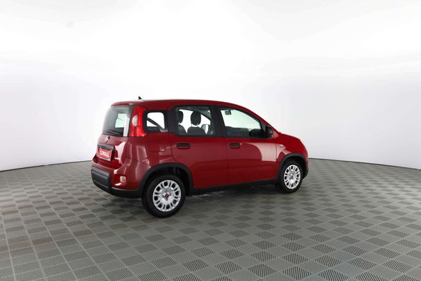 Fiat Panda 1.0 Hybrid 51 kW image number 4