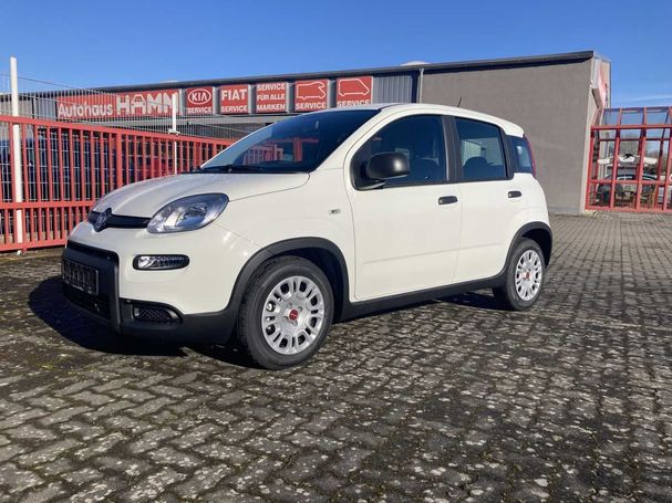 Fiat Panda 1.0 Hybrid 51 kW image number 1