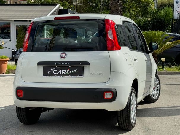 Fiat Panda 1.0 Hybrid 51 kW image number 3