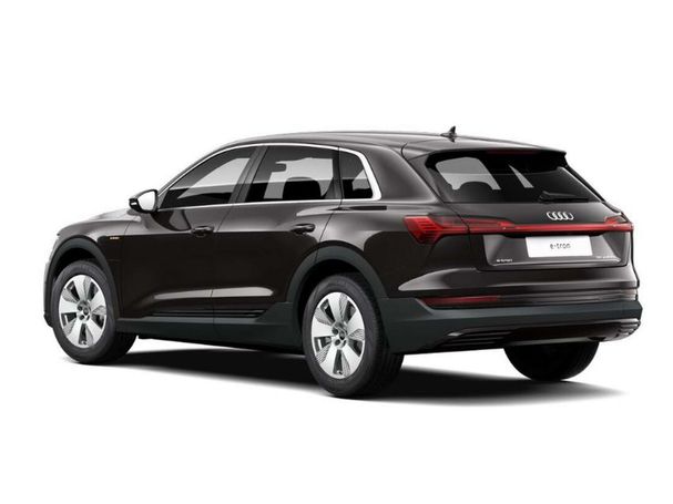 Audi e-tron 50 quattro 230 kW image number 4