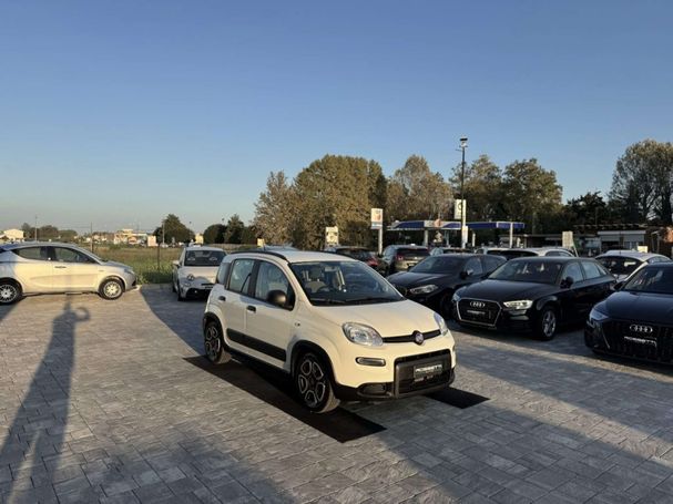 Fiat Panda 1.0 Hybrid City Life 51 kW image number 5