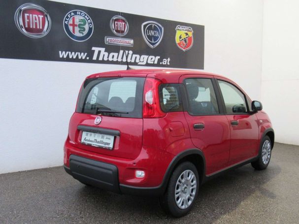 Fiat Panda 51 kW image number 4