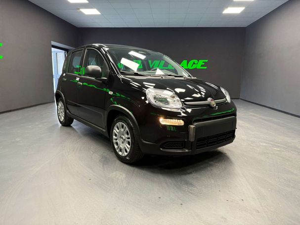 Fiat Panda 51 kW image number 3