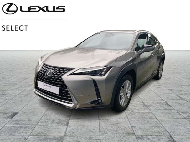 Lexus UX 250h 135 kW image number 1