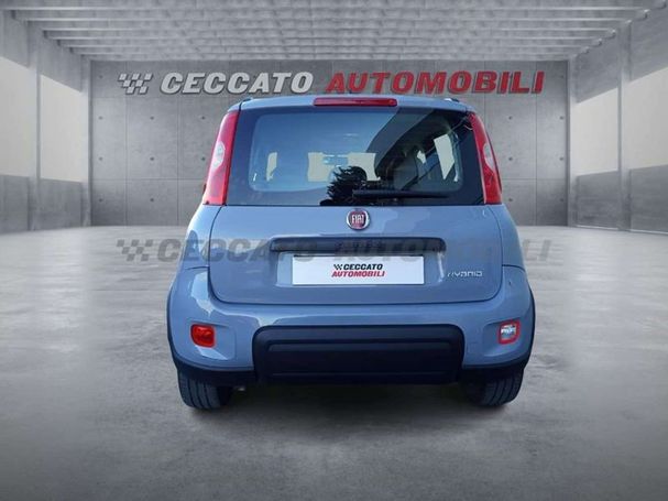 Fiat Panda 1.0 Hybrid City Life 51 kW image number 5