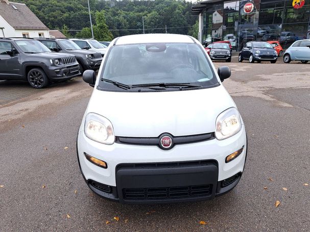 Fiat Panda 51 kW image number 3