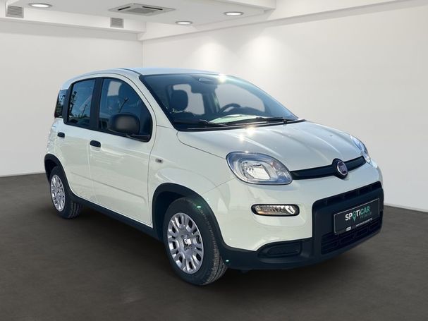 Fiat Panda 51 kW image number 2