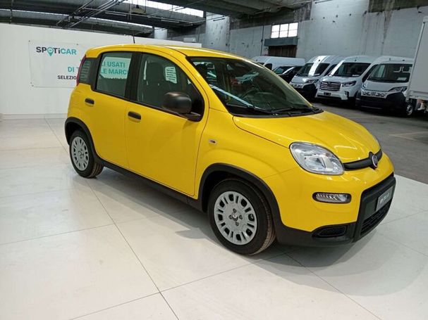 Fiat Panda 51 kW image number 2