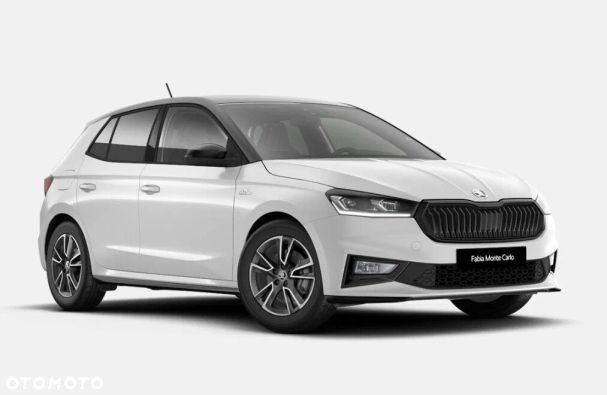 Skoda Fabia 110 kW image number 1