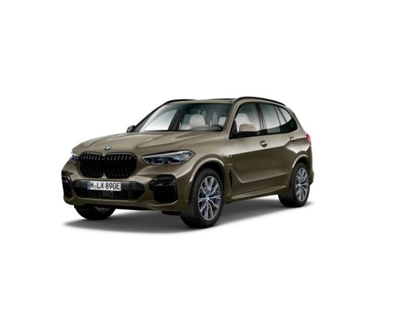 BMW X5 xDrive 290 kW image number 1