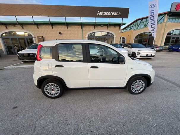 Fiat Panda 1.0 Hybrid 51 kW image number 4