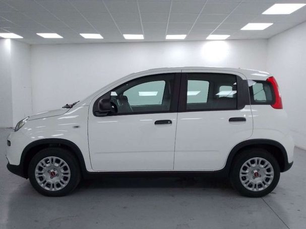 Fiat Panda 1.2 51 kW image number 4