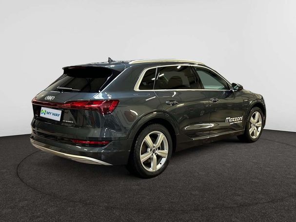 Audi e-tron 55 quattro Advanced 300 kW image number 14