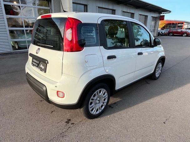 Fiat Panda 51 kW image number 4