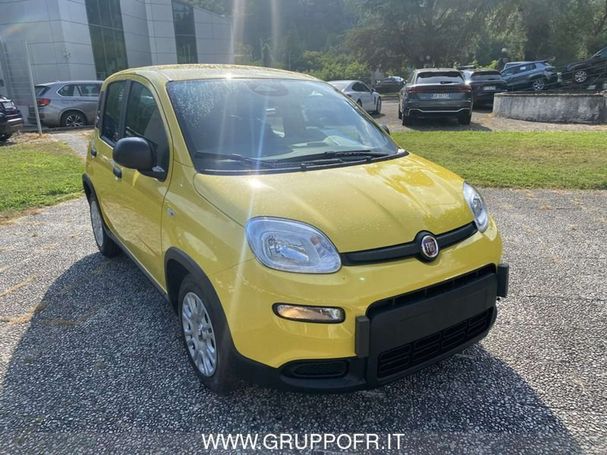 Fiat Panda 51 kW image number 2