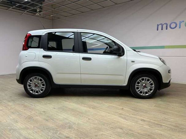 Fiat Panda 1.0 Hybrid 51 kW image number 4