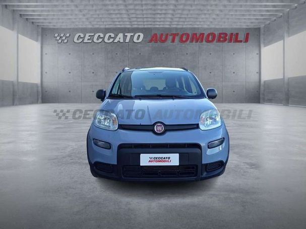 Fiat Panda 1.0 Hybrid City Life 51 kW image number 3