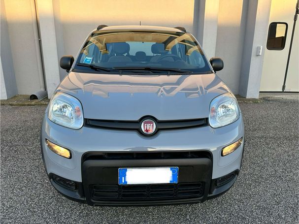 Fiat Panda 1.0 Hybrid City Life 51 kW image number 3