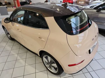 Car image 30