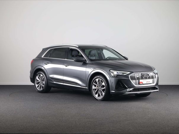 Audi e-tron 55 quattro 300 kW image number 2