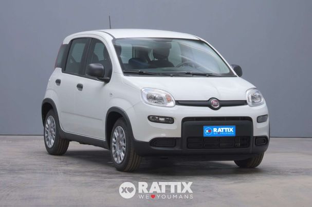 Fiat Panda 1.0 Hybrid 51 kW image number 2