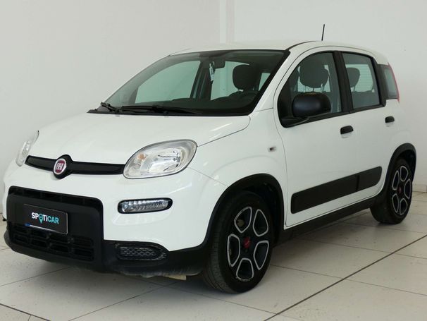 Fiat Panda 1.0 Hybrid City 51 kW image number 1