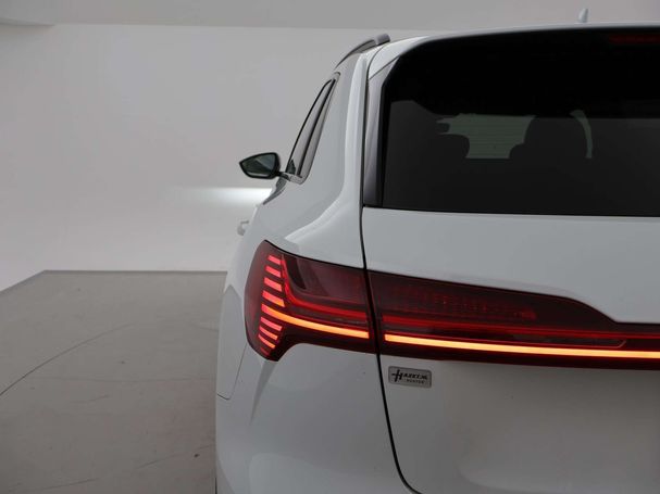 Audi e-tron 55 S-line 300 kW image number 24