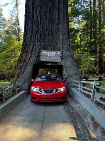 Saab 9-3 2.0 Turbo 155 kW image number 5