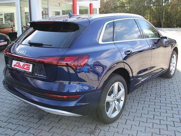 Audi e-tron S-line 230 kW image number 9