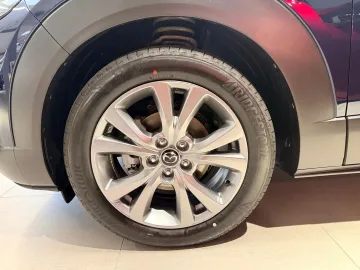 Car image 25