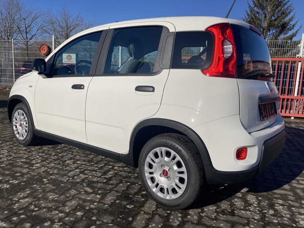 Fiat Panda 1.0 Hybrid 51 kW image number 5