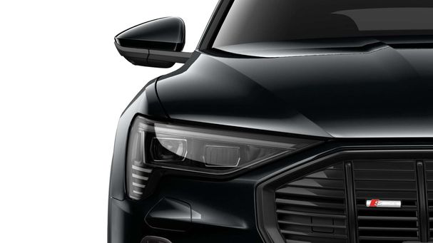 Audi e-tron 50 S-line 230 kW image number 8