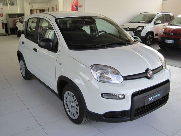 Fiat Panda 51 kW image number 2