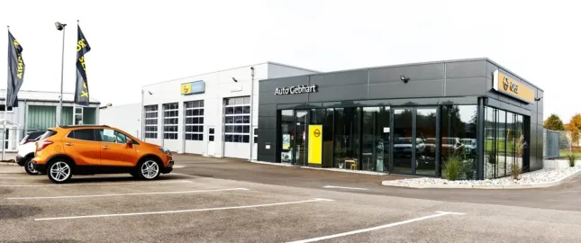 Car image 20