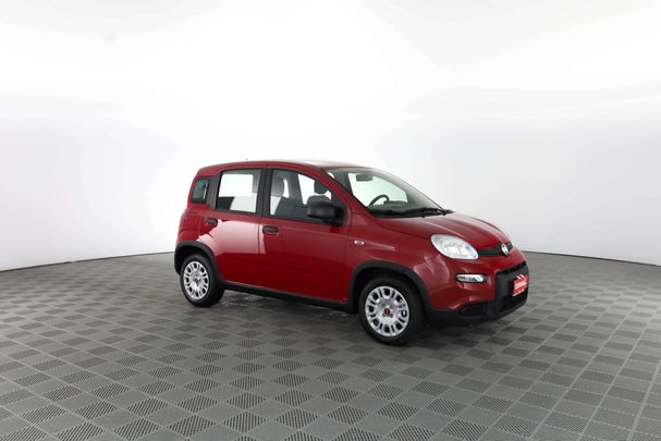 Fiat Panda 1.0 Hybrid 51 kW image number 2