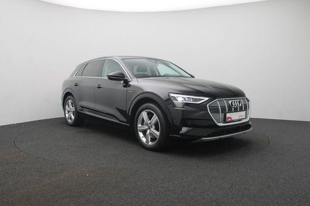 Audi e-tron 50 quattro 230 kW image number 6