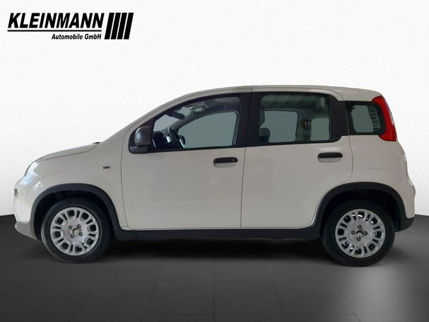 Fiat Panda 52 kW image number 4