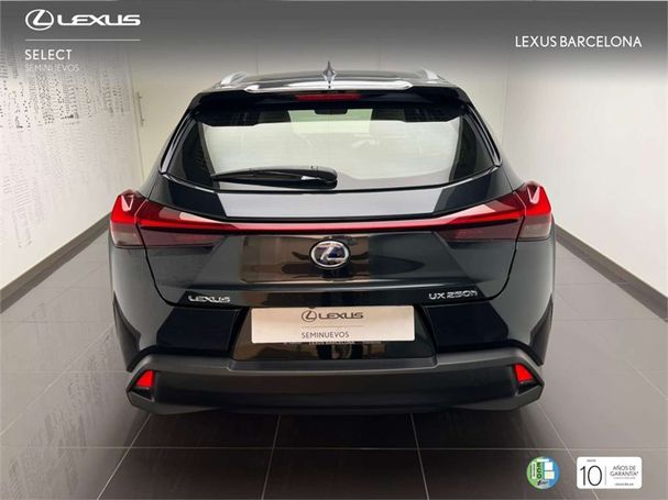 Lexus UX Business 135 kW image number 10