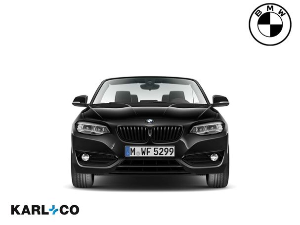 BMW 220i Cabrio 135 kW image number 6