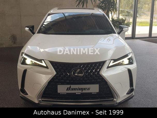 Lexus UX 250h Luxury 135 kW image number 2