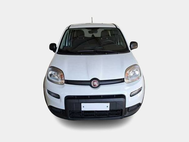 Fiat Panda 51 kW image number 2