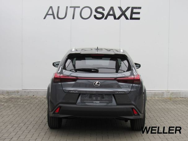 Lexus UX 250h 135 kW image number 6