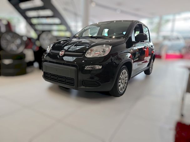 Fiat Panda 51 kW image number 1