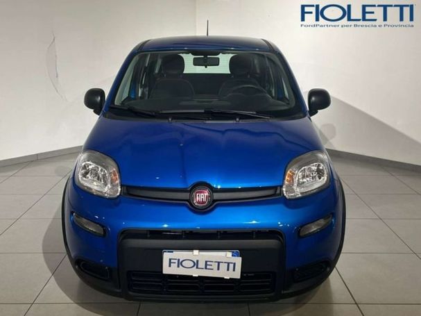 Fiat Panda 51 kW image number 3