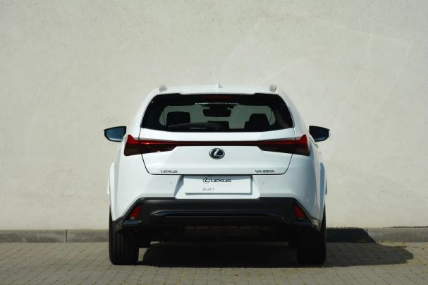 Lexus UX 250h 135 kW image number 6