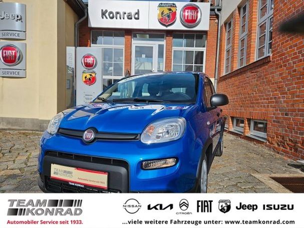 Fiat Panda 51 kW image number 1