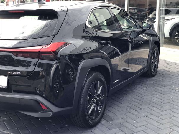 Lexus UX 250h 135 kW image number 9