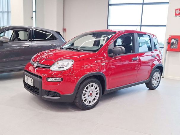 Fiat Panda 1.0 Hybrid 51 kW image number 1