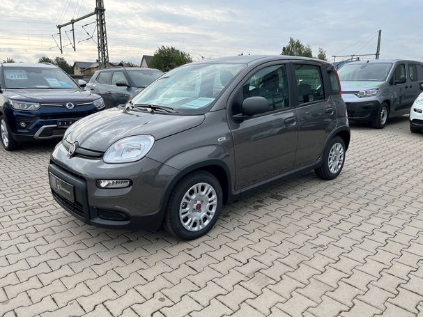 Fiat Panda 1.0 51 kW image number 1