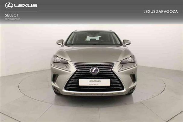 Lexus NX 300 H 145 kW image number 2